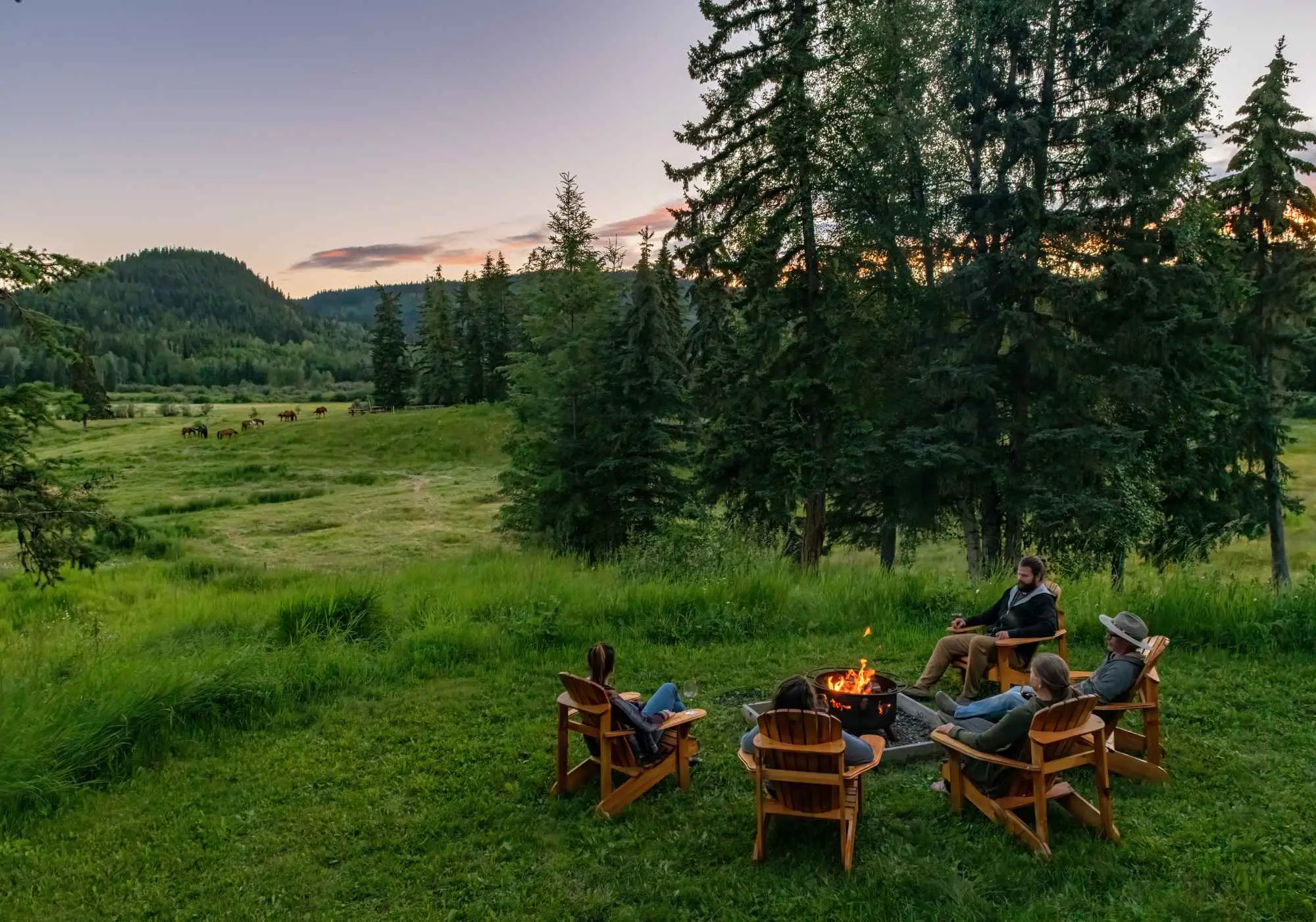 Meadow and treeline at Kayanara at sunset, with a circle of chairs around a fire and horses grazing beyond.